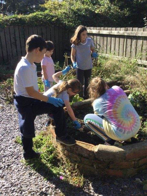A group of children gardening together in a raised flower bed