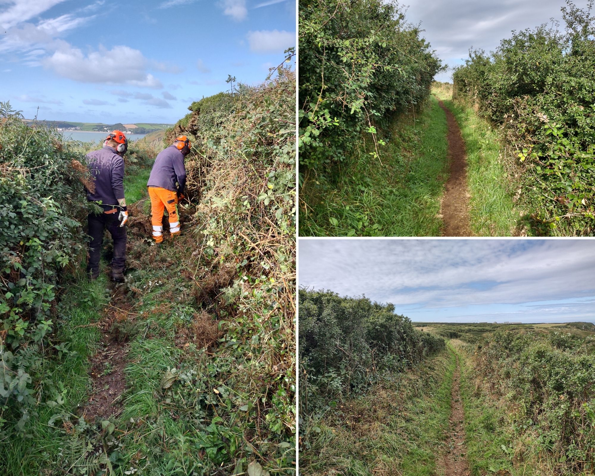 a collage depicting the progress of coast path maintenance